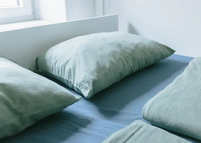 Midva Apartment Bled